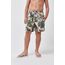 Shorts-Arara-Boys---Estampado---Tamanho-2